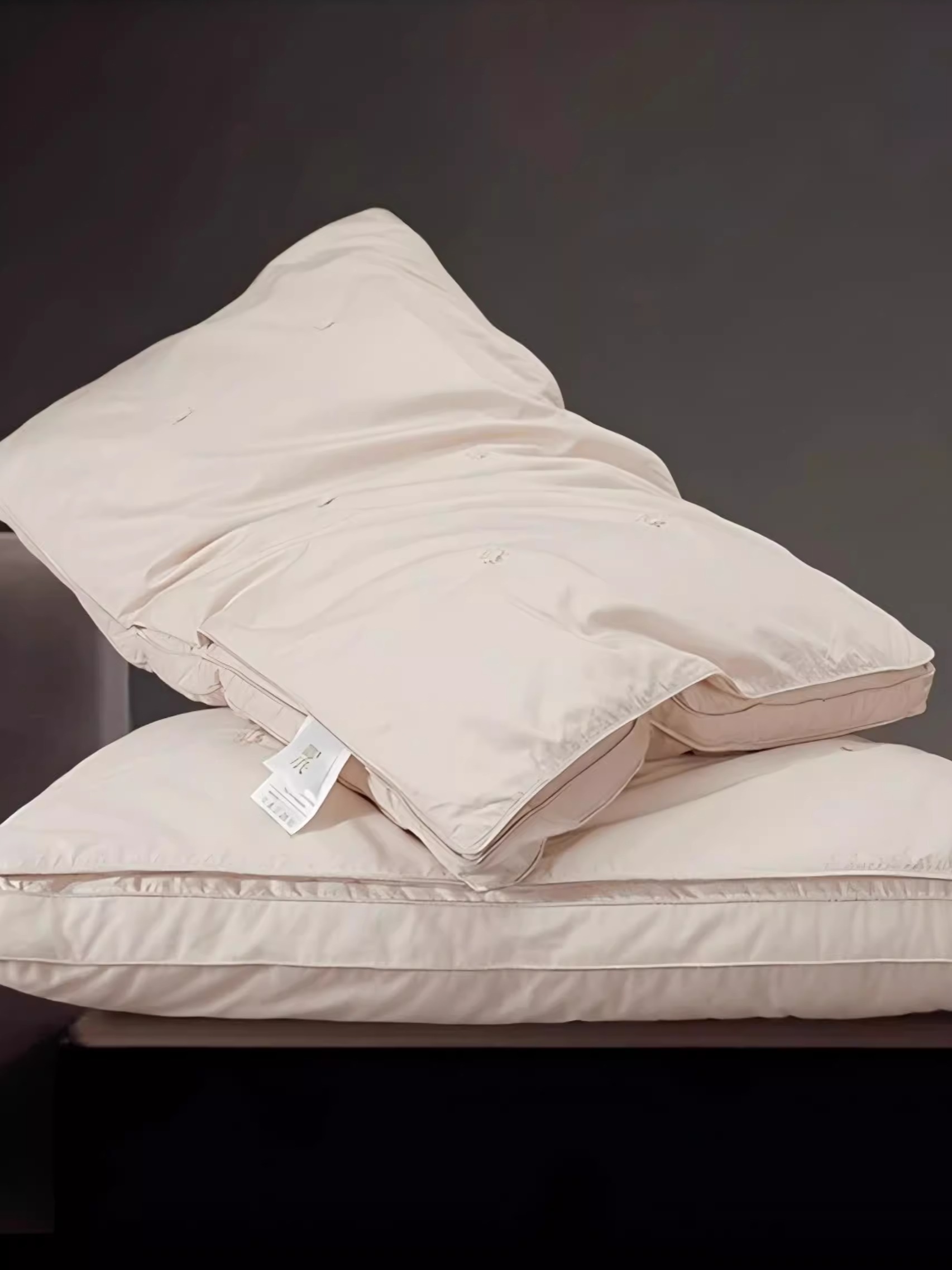 邵氏蚕丝枕头 双层高颜值枕芯深睡枕 零压护颈椎 上层100桑蚕丝