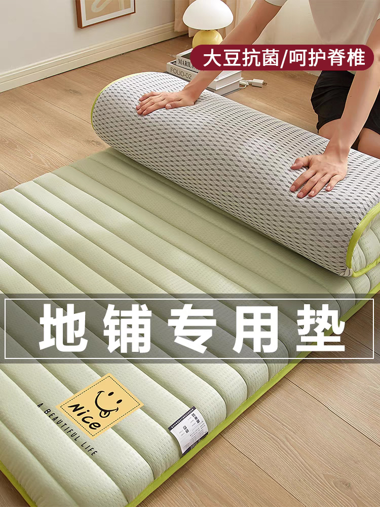 地铺睡垫家用床垫软垫防潮地垫可折叠打地铺神器单双人租房专用垫