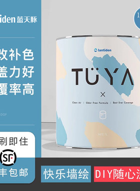 蓝天豚涂呀硅藻泥涂料墙面修补家用小罐艺术漆客厅室内电视背景墙
