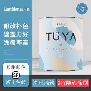 蓝天豚涂呀硅藻泥涂料墙面修补家用小罐艺术漆客厅室内电视背景墙