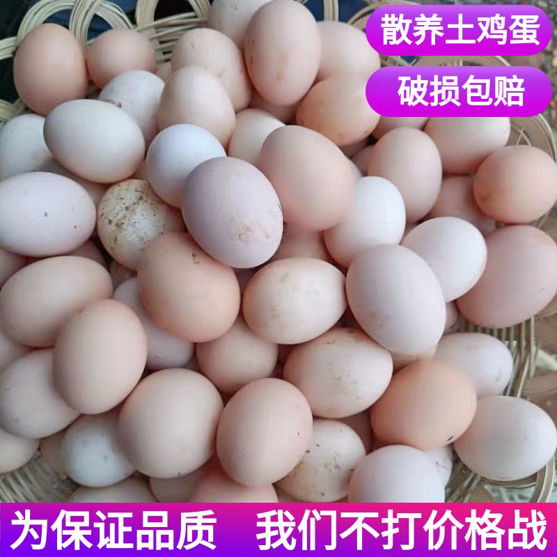 湖南石门农家散养土鸡蛋30枚草鸡蛋柴鸡蛋笨鸡蛋农村新鲜鸡蛋50枚