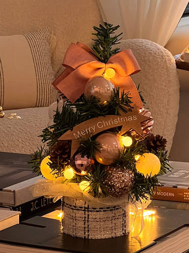 圣诞树DIY新款家用前台桌面摆件迷你小型ins风仿真带灯布置装饰