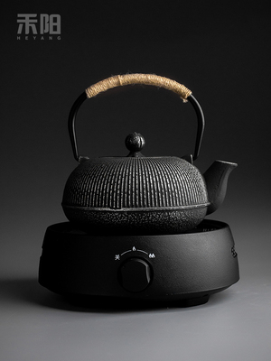 禾阳 日式铁壶铸铁煮茶壶家用烧水壶泡茶专用电陶炉煮茶器套装