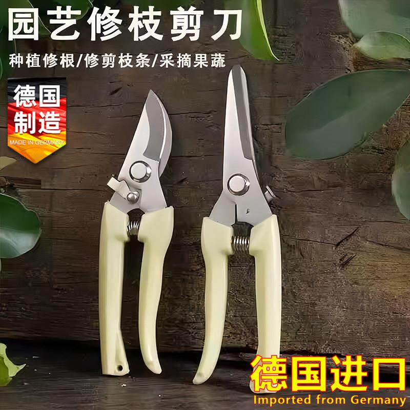 日本进口修枝剪园艺剪树枝果树专用剪刀修枝花卉果木葡萄剪子花卉