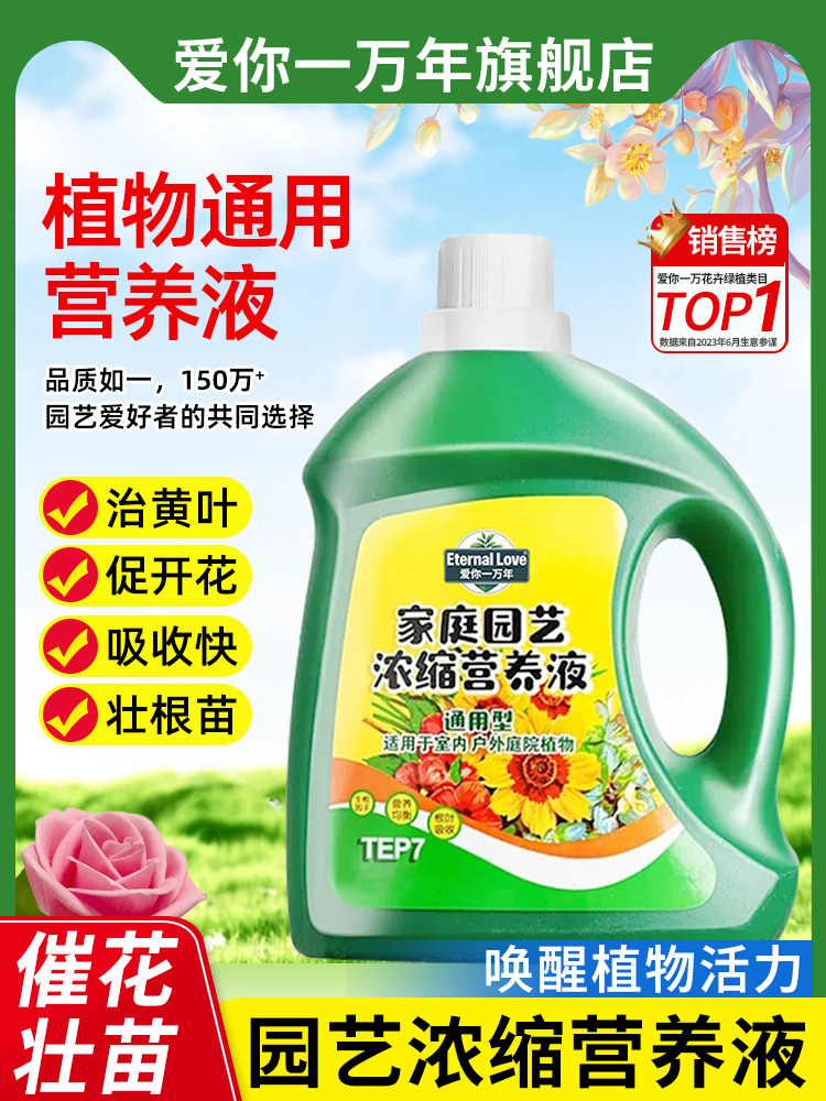 新疆包邮营养液植物通用型花肥发财树富贵竹绿萝水培盆栽家用花卉