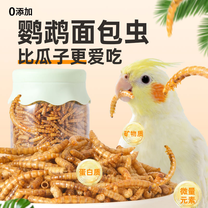 鹦鹉面包虫干黄粉虫牡丹虎皮玄凤专用鸟粮八哥芦丁鸡饲料零食鸟食