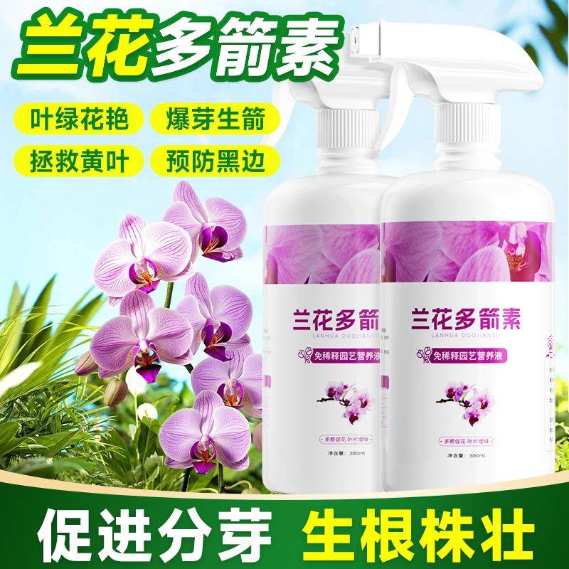 兰花多箭素兰灵王蝴蝶兰蕙兰爆芽素多剑王生根发芽开花专用营养液
