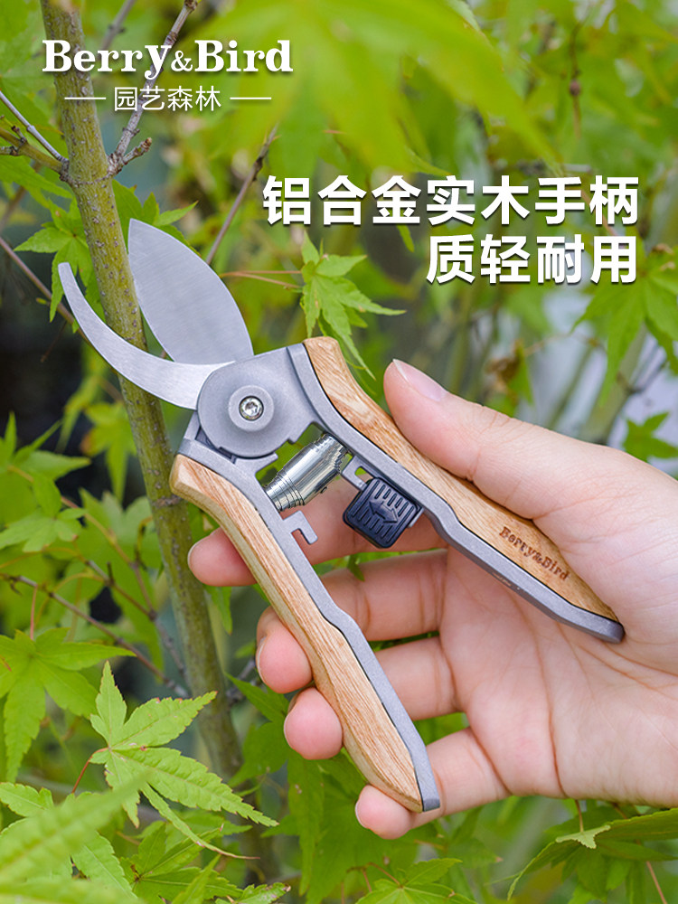 Berry&Bird园艺森林花艺剪刀家用盆栽修枝剪子鲜切花绿植小型省力