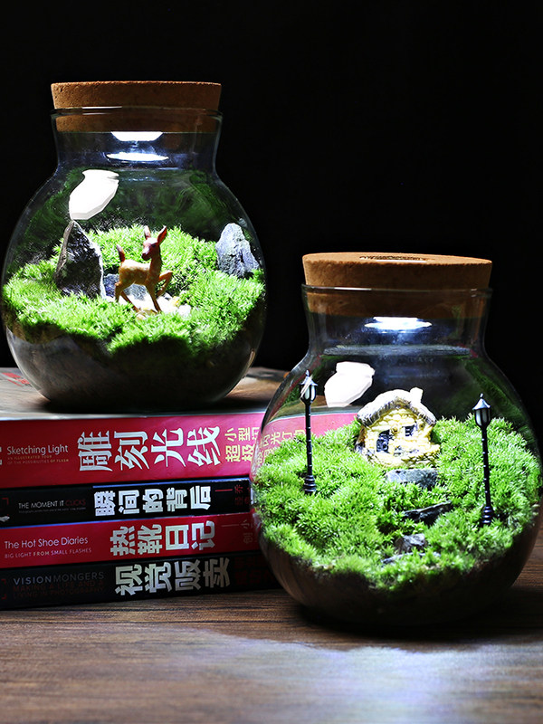 带灯玻璃瓶苔藓微景观套装diy 生态瓶闷养桌面迷你小盆栽创意造景