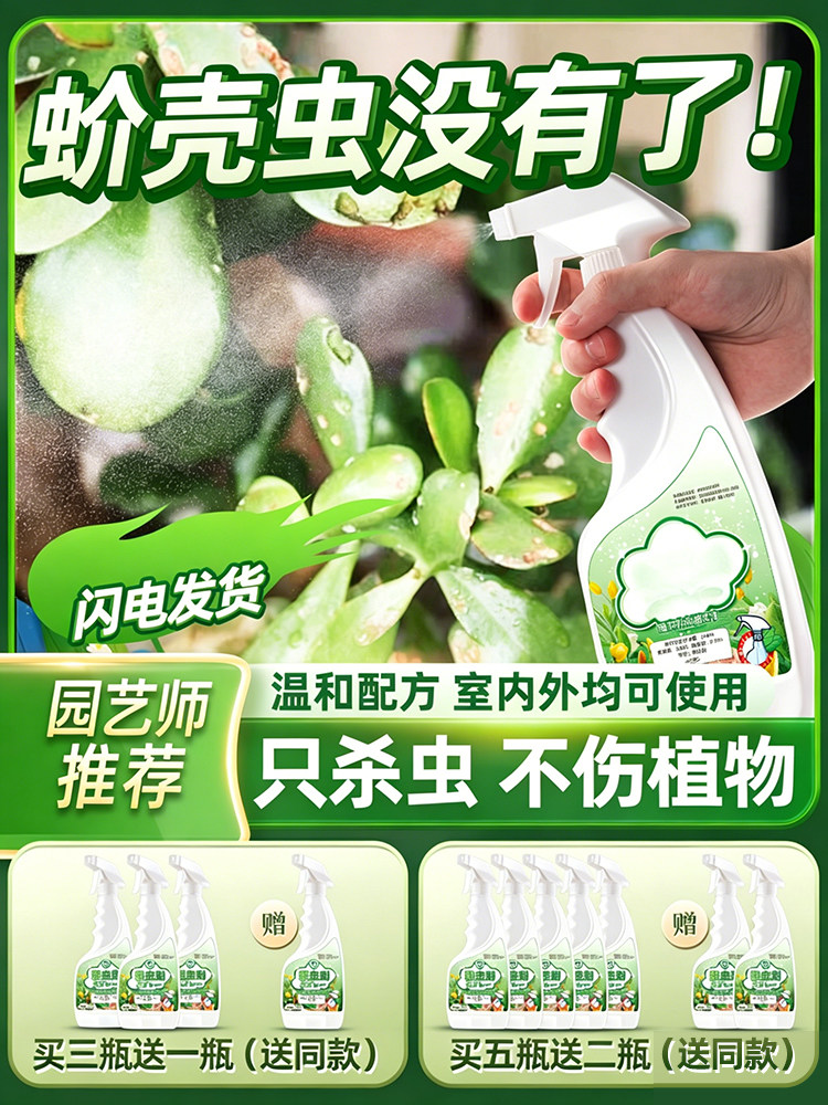 蚧壳虫杀虫剂多肉棉长寿花驱花卉喷洒触杀虫药幸福树介壳虫除虫剂
