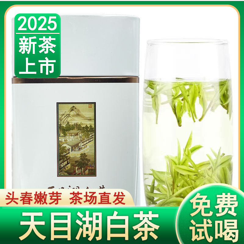 2025新茶正宗天目湖白茶叶明前特级清香溧阳春茶散装绿茶50g包邮