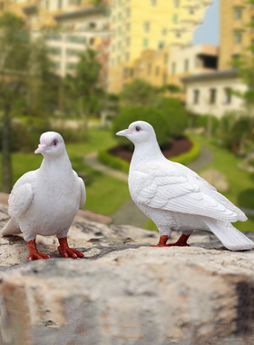 花园装饰庭院摆件户外阳台房顶装饰摆设树脂动物仿真鸽子摆件