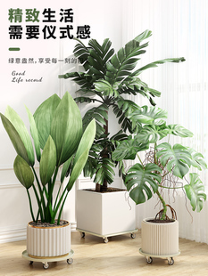 铁艺可移动大花盆托盘万向滑轮室内蓄水带滚轮盆栽花架子绿植底座