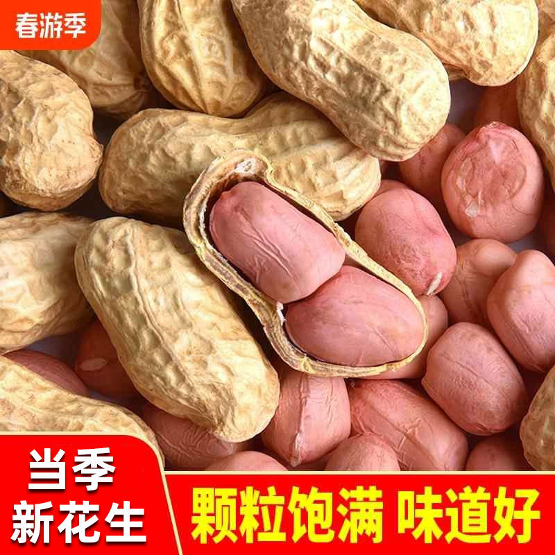 生花生2025年新货晒干带壳新鲜花生果原味白沙带皮高产薄壳种籽子