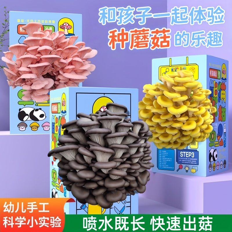 蘑菇种植平菇菌包蘑菇盒家庭室内科学小实验种植蘑菇益智玩具