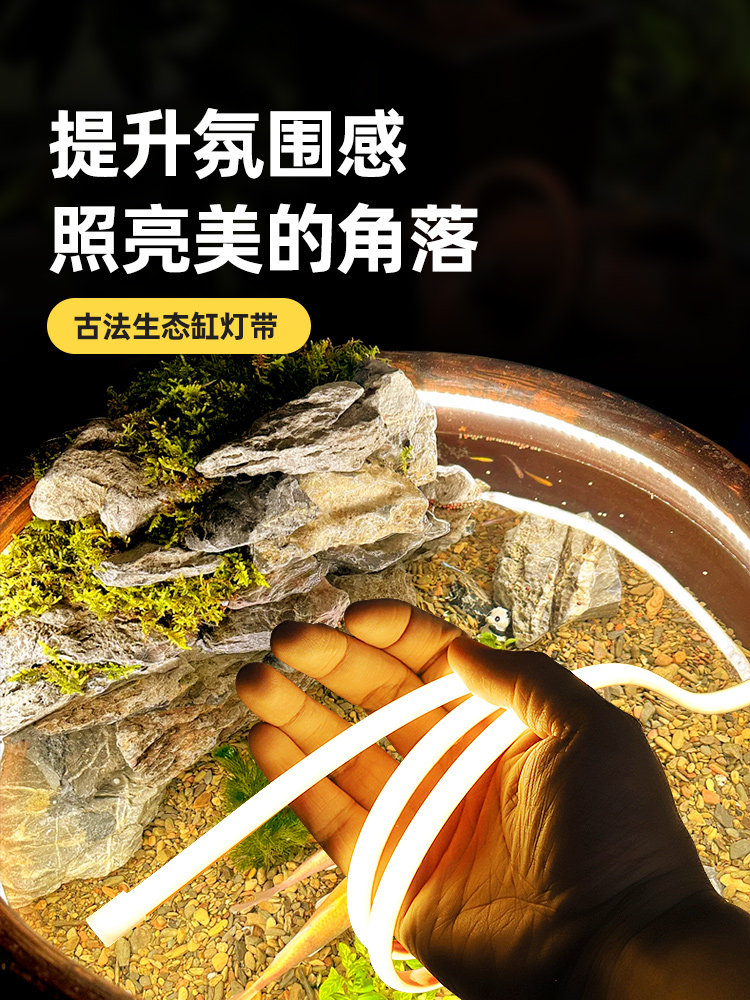 鱼缸专用灯带防水低压圆形水缸鱼池led灯直插式自粘水下灯氛围灯