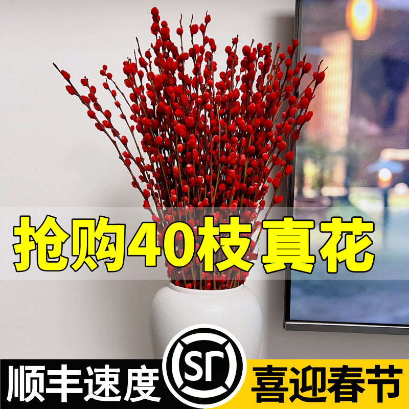 银柳真花鲜枝抱抱福桶喜庆年宵花卉盆栽室内红色干花水培植物雪柳
