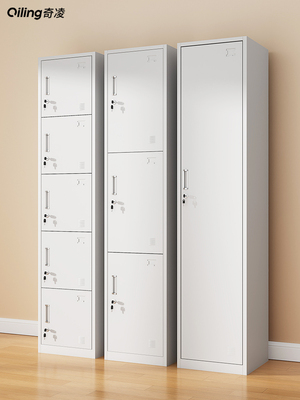 单门更衣柜铁皮柜带锁员工柜健身房浴室储物柜钢制简易办公室衣柜
