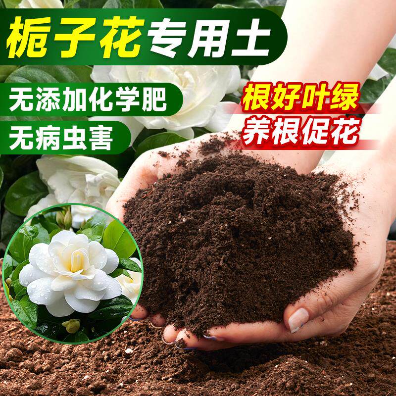 栀子花专用土营养土养花通用专用泥土种植土泥炭土肥料土壤羊鸡粪