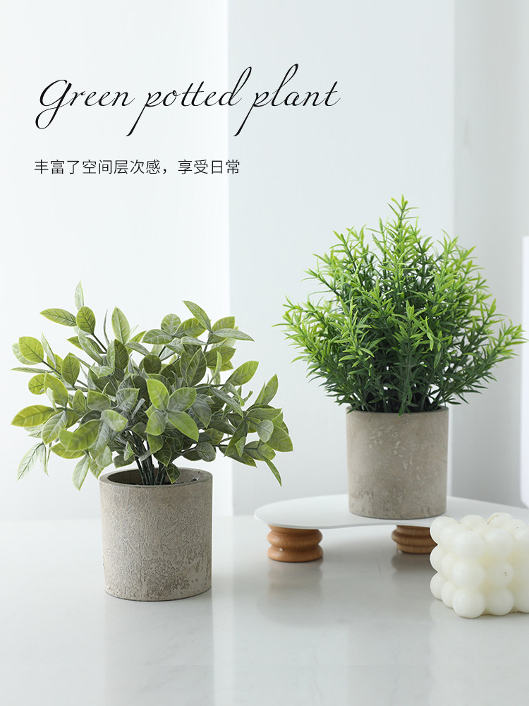 仿真绿植小盆栽假植物尤加利假花盆景室内客厅摆设桌面装饰品摆件,家居饰品,仿真植物盆景,淘宝优惠券,粉丝福利购,淘宝优惠卷