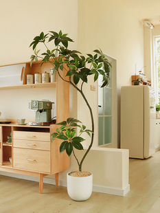 森空间仿真绿植大叶伞沙发旁植物装饰诧寂风格轻奢假花树软装摆设