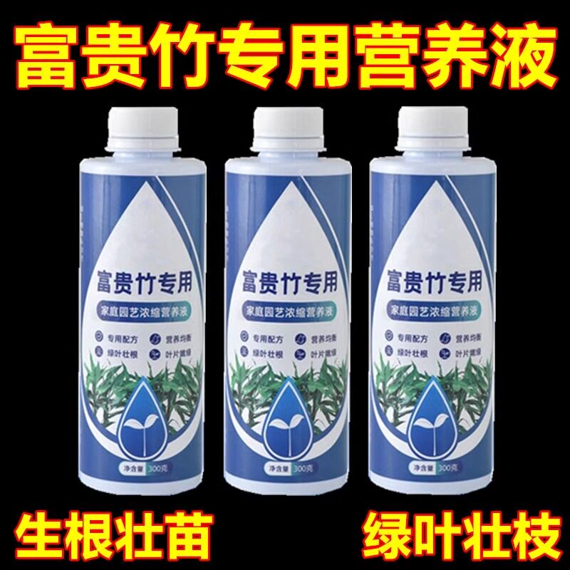 富贵竹专用营养液水培植物治黄叶促生根观音竹家用盆栽通用肥料