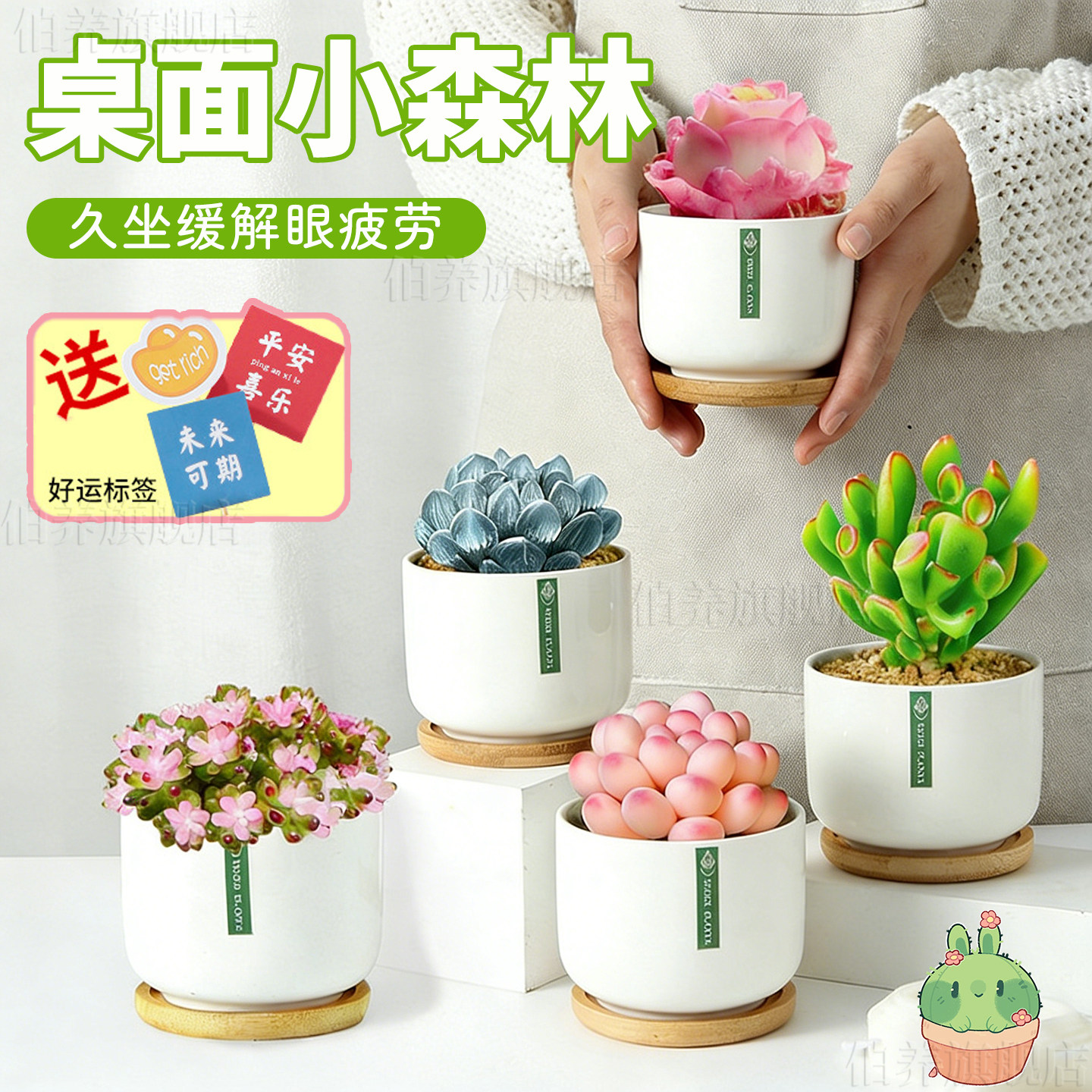 多肉植物组合室内小盆栽办公室桌面绿植花卉大全带陶瓷花盆好养活
