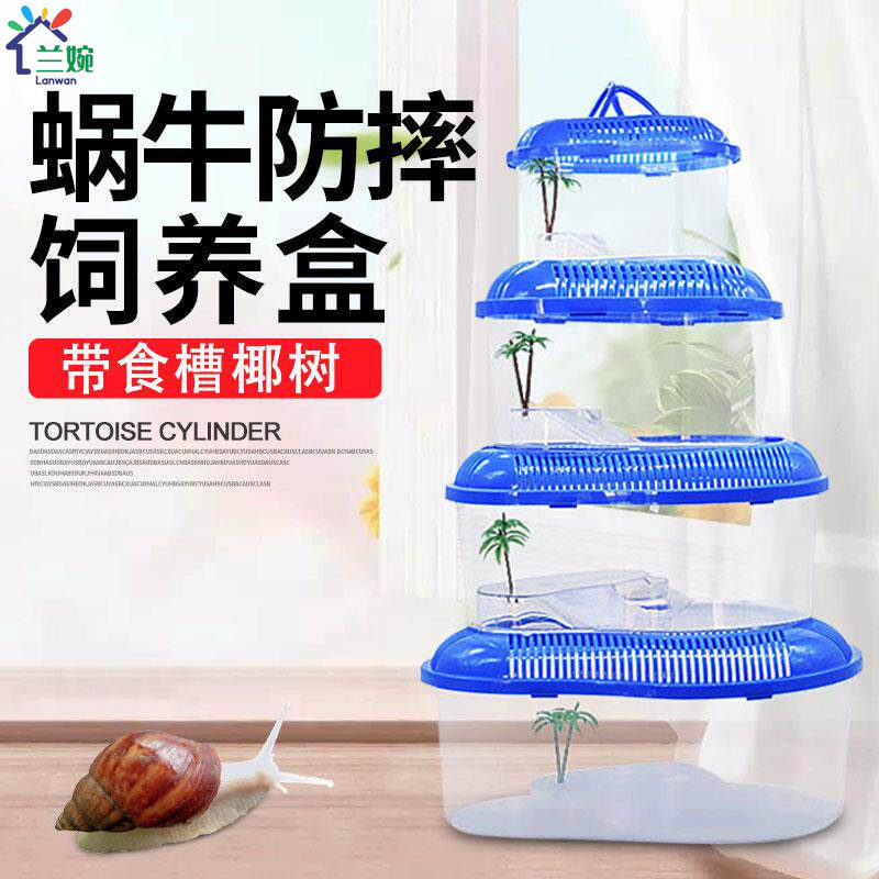 白玉蜗牛生态缸小屋饲养盒乌龟箱宠物房子窝甲虫养的家盒子箱别墅