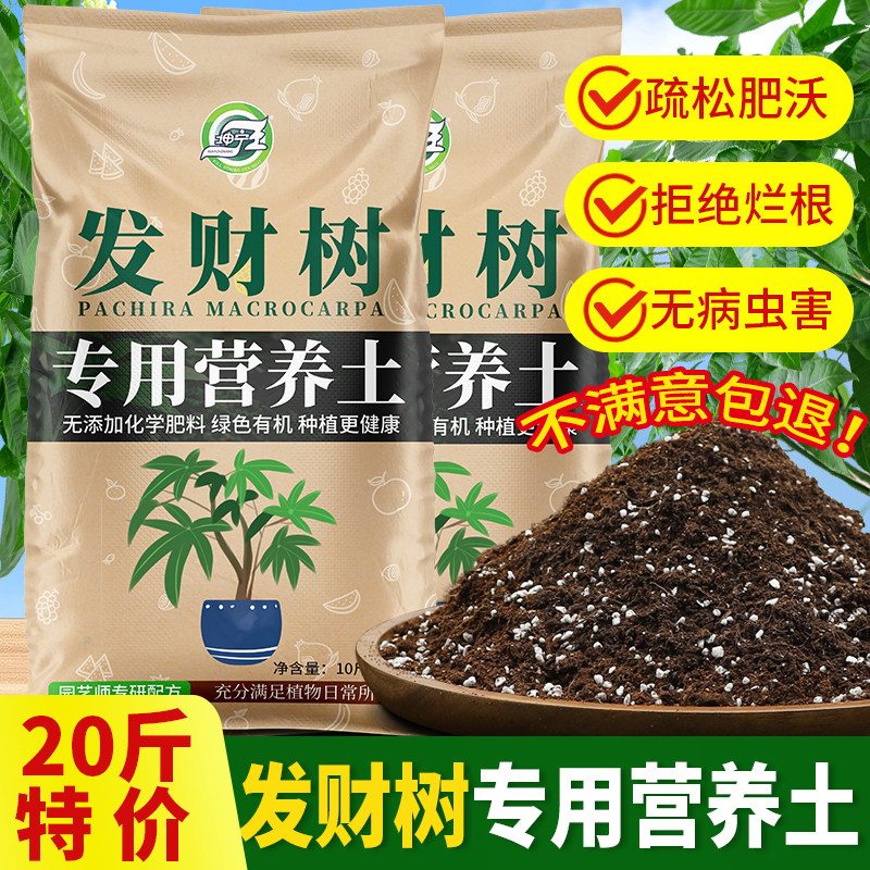 种养发财树专用土营养土花土盆栽土壤发财树肥料专用肥泥土种植土