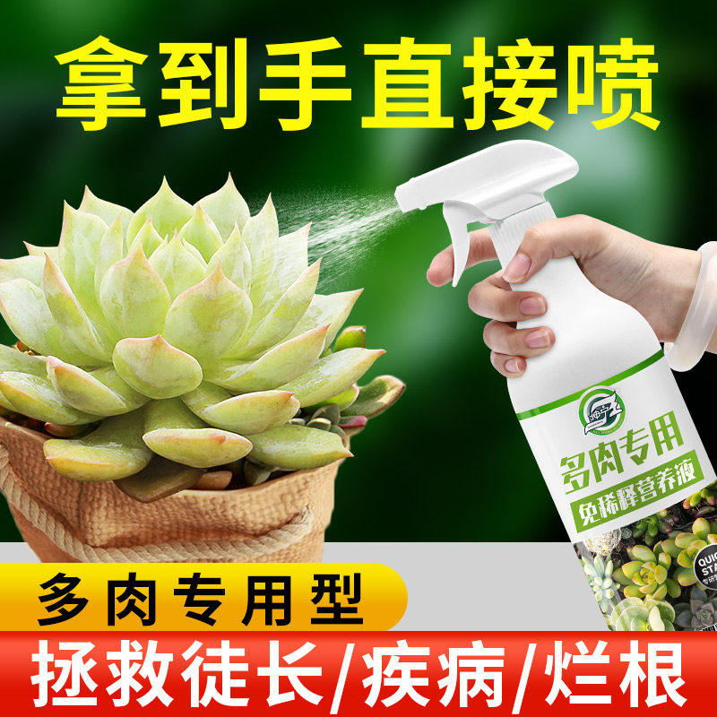 免稀释多肉营养液专用营养液专用肥即喷花肥料肉肉植物家用通用型