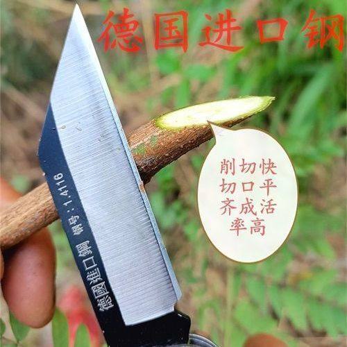 进口德国进口钢【1.4116】高硬度可折叠嫁接刀芽接刀果树刀园艺刀