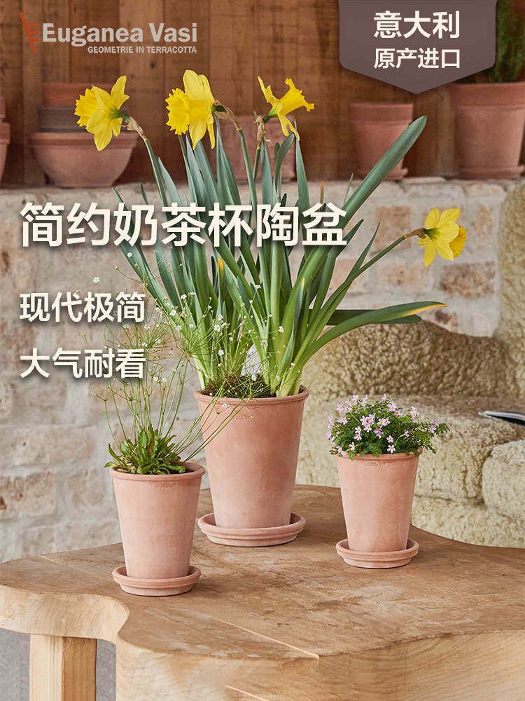 EV陶盆奶茶杯系列意大利进口简约透气加深高陶土绿植蝴蝶兰高花盆