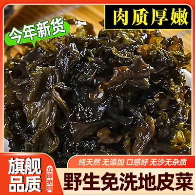 正宗地皮菜野生免洗干货天然地衣菜免洗木耳雷公菌蒸包子用