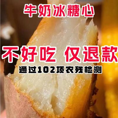 金薯季哈密牛奶冰糖心蜜薯新鲜白心红薯超甜烟薯冰激凌薯沙地番薯