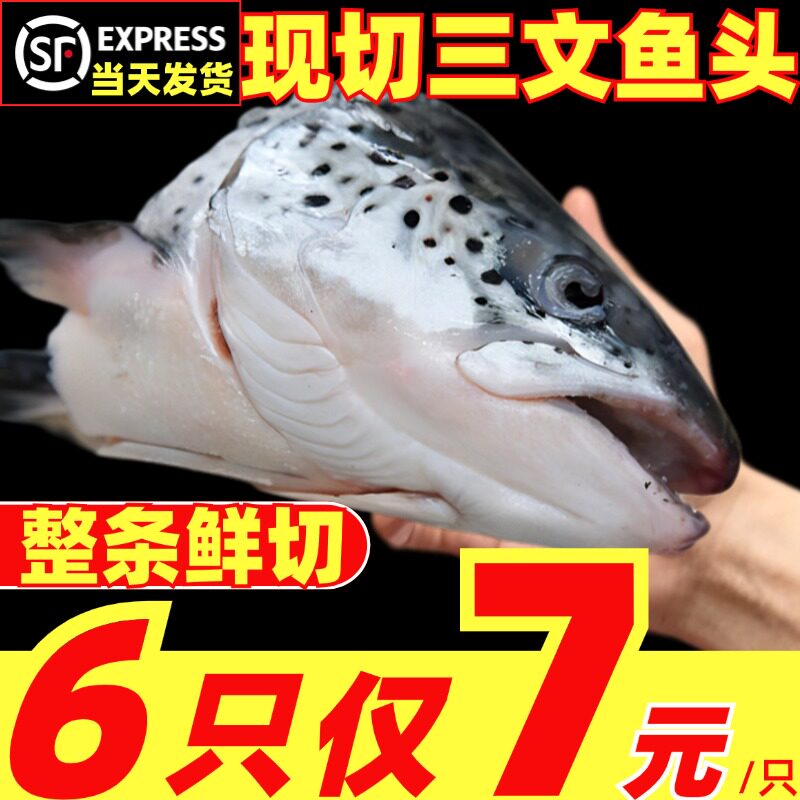 新鲜三文鱼头新鲜冷冻整条现切新疆虹鳟鱼三文鱼非进口挪威鱼海鲜