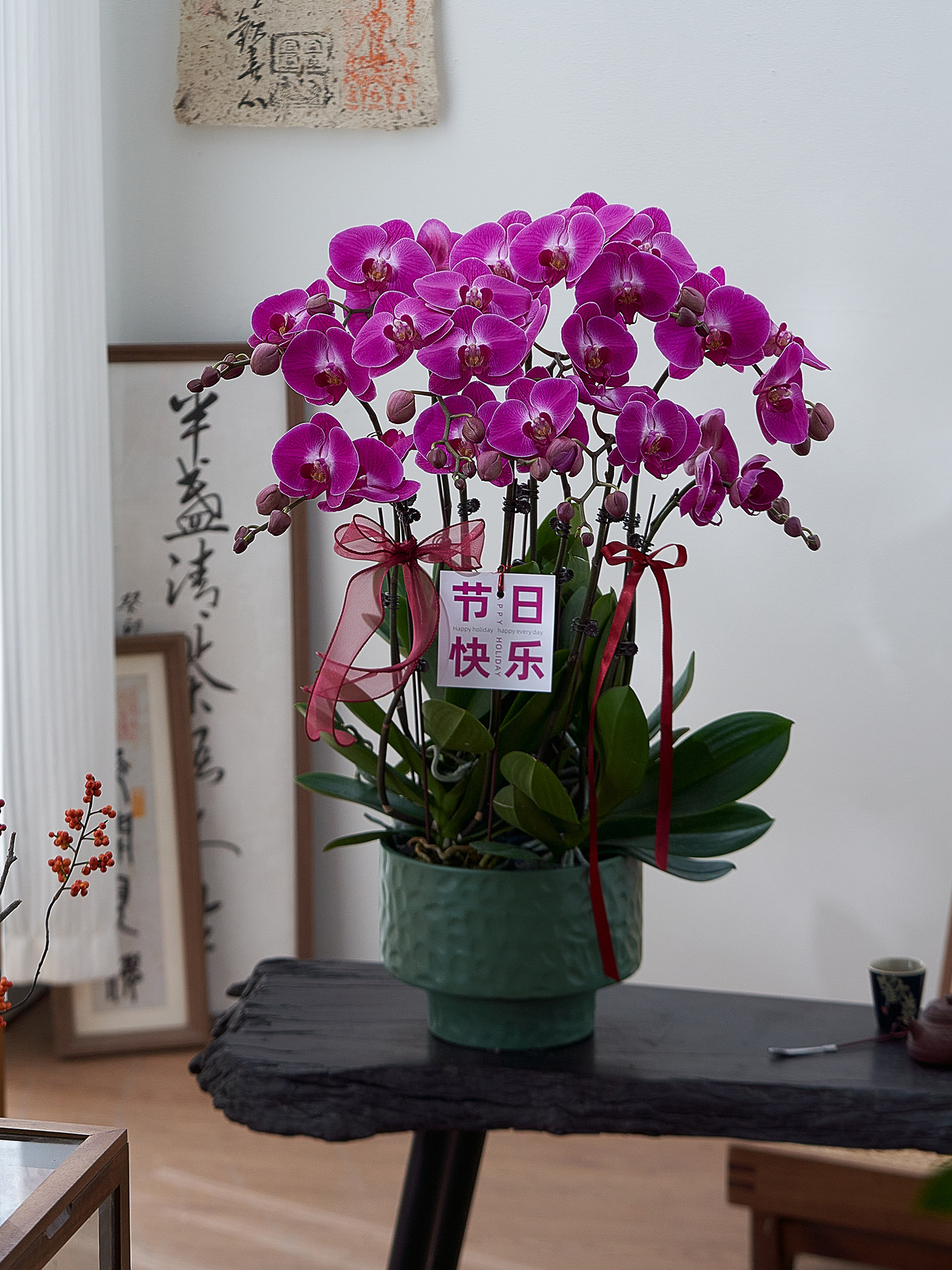 蝴蝶兰带花盆栽带花苞特大号兰花年宵花客厅室内植物节日送礼真花