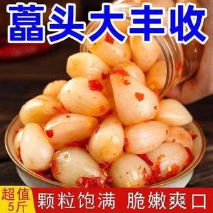 云南特产酸辣酸甜藠头袋装水晶荞头开胃下饭菜泡菜腌渍菜包邮