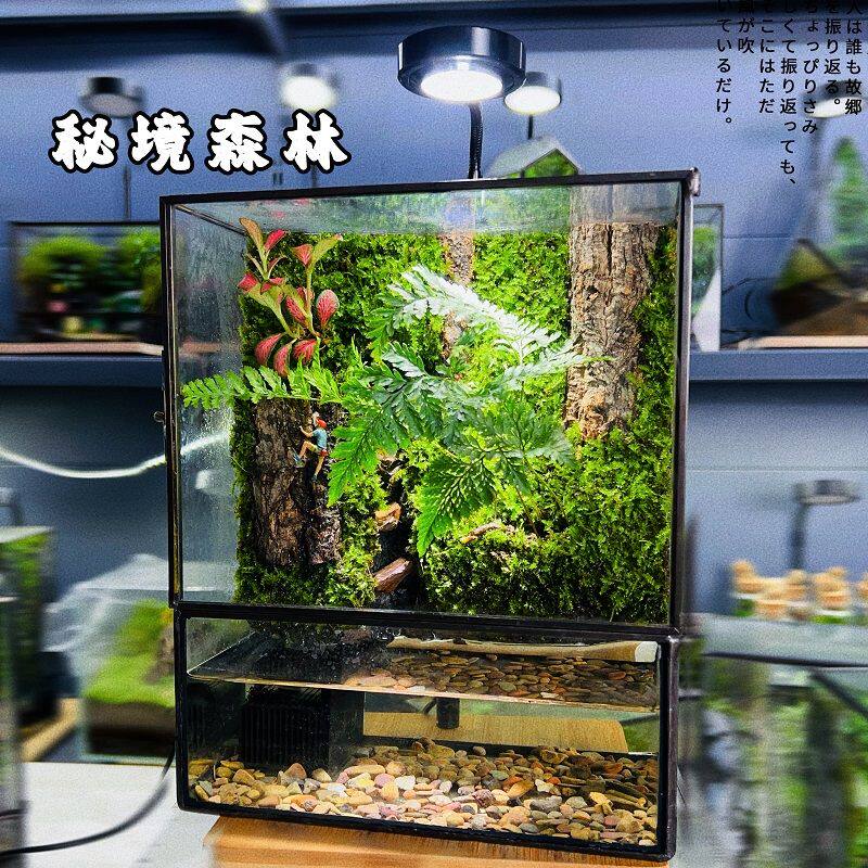网红造景桌面创意景观摆件鱼缸养鱼流水循环成品微景观生态缸循环