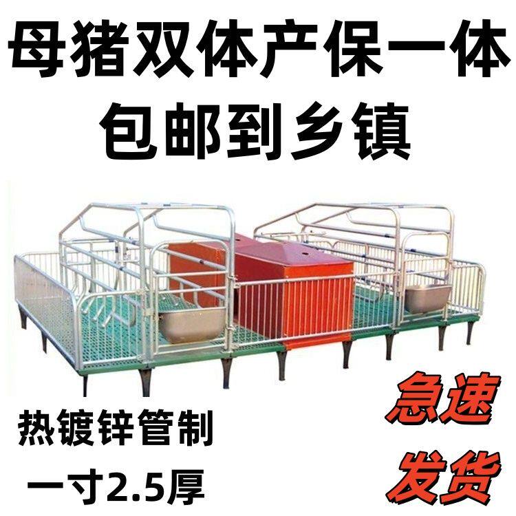 母猪双体产床保育两用床全复合产保一体床产房仔猪分娩床养猪设备