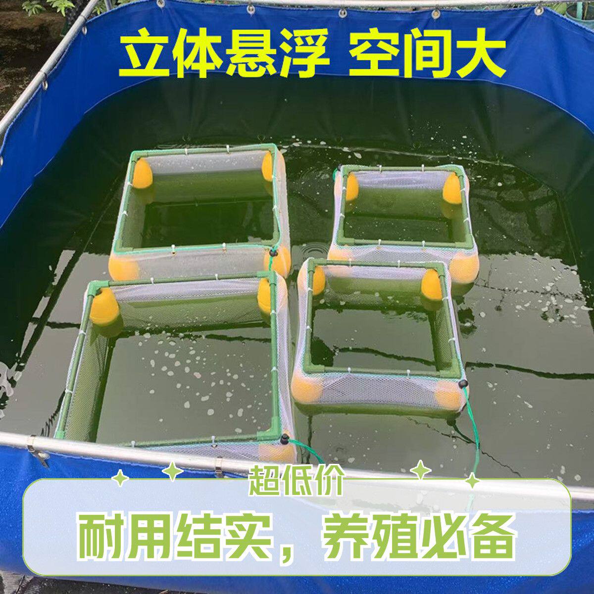 养鱼存鱼带框架漂浮网箱家用隔离暂养活鱼养殖网箱孵化回鱼育苗箱