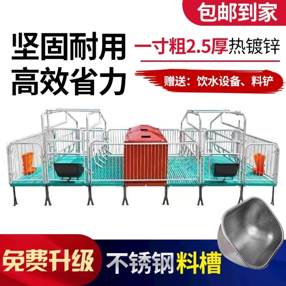 老母猪产床双体产保一体猪场设备仔猪分娩床热镀锌全复合双体产床