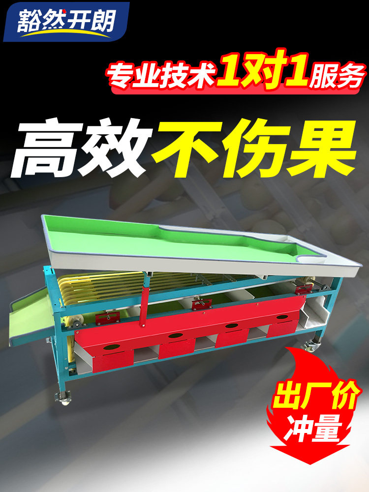选果机水果分拣机全自动大小筛选分级机李子樱桃圣女果山竹分选机