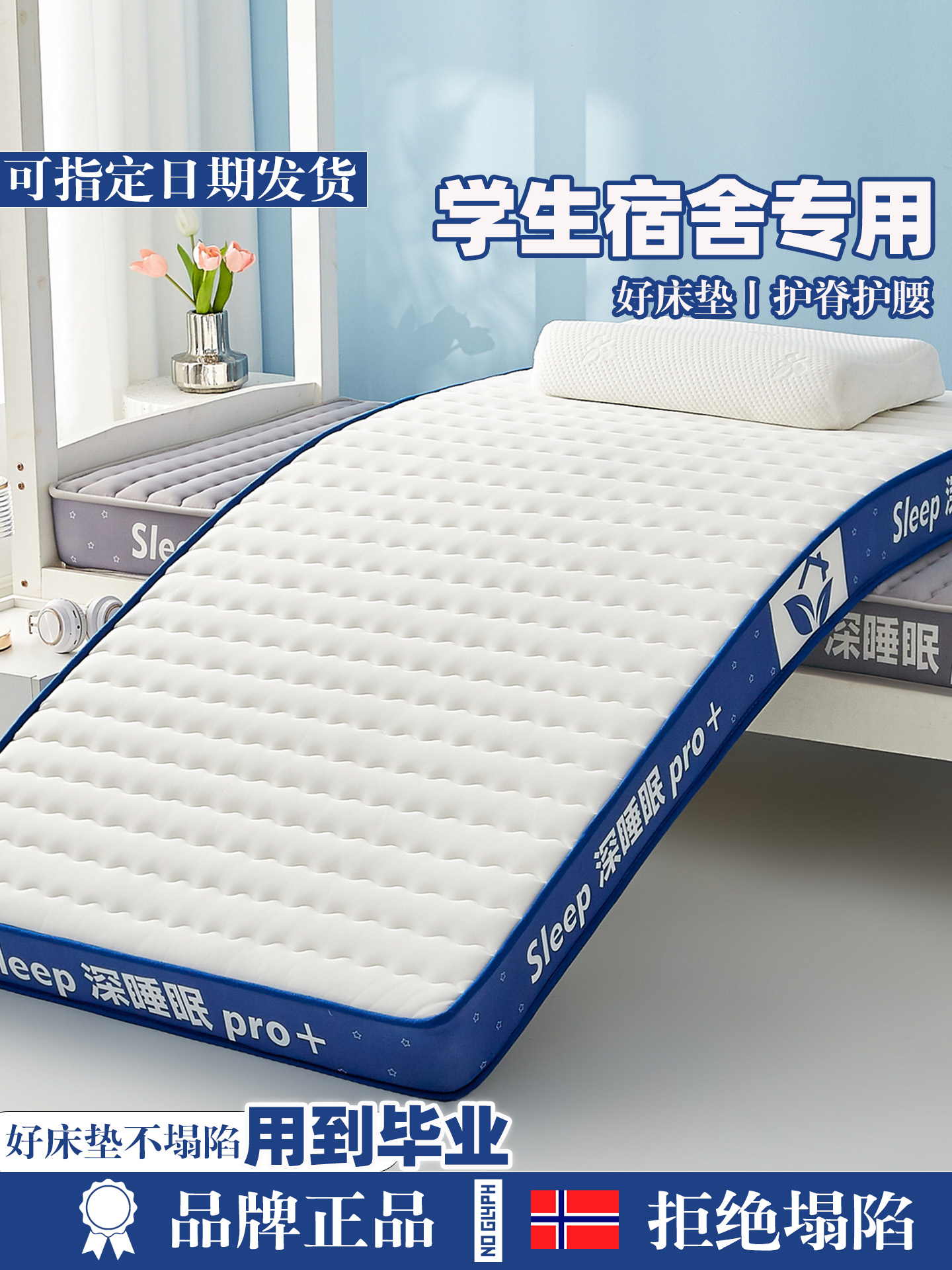 学生宿舍乳胶床垫软垫家用卧室榻榻米垫子记忆棉海绵垫租房加厚垫