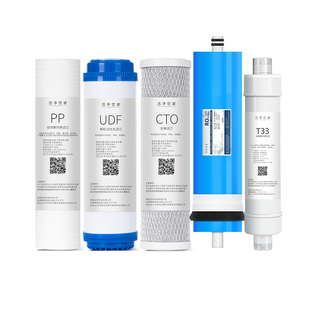 DT4083 185A 洁净世家适用沁园净水器滤芯RU