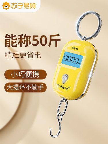 手提电子秤高精度便携式随身小称快递称重商用手拎弹簧行李秤1648