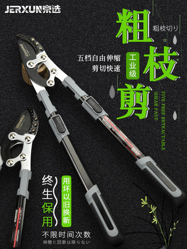 京选伸缩粗枝剪修枝剪树枝园林剪刀果树修剪省力高枝高空剪枝剪刀