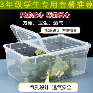 蚕宝宝学生养蚕盒子学生养蚕饲养盒蚕宝宝专用观察饲养箱蚕卵幼虫