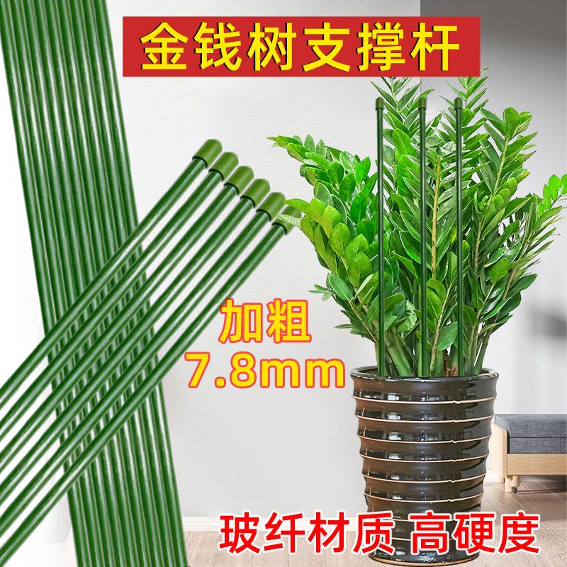 金钱树蝴蝶兰支架蔬菜瓜果爬藤植物立柱撑杆园艺盆栽花卉扶枝铁丝