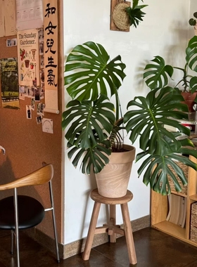 高端轻奢龟背竹仿真绿植客厅室内名宿大型装饰假植物装饰落地摆件