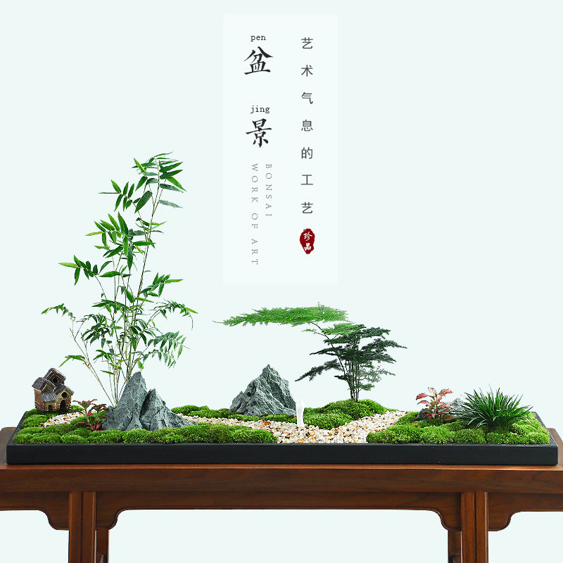 大号办公室造景苔藓文竹米鲜活竹植物盆栽茶道石头微景观盆景摆件